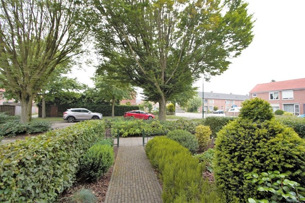 IMG_5710 (2) (Medium).jpg 15