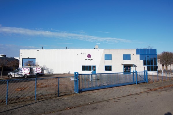 IMG_6250 (Medium).jpg 2