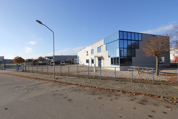 IMG_6260 (2) (Medium).JPG 3