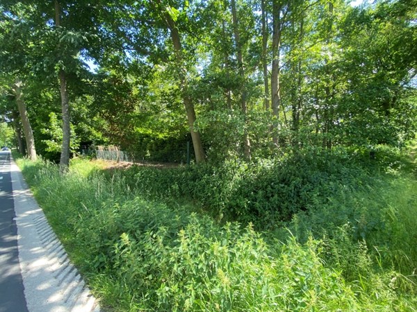 IMG_6940 (Medium).JPG 2