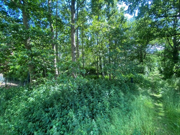 IMG_6941 (Medium).JPG 11