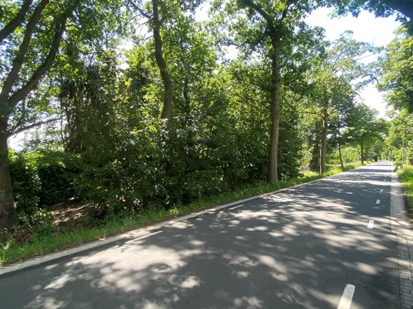 IMG_6939 (Medium).JPG 3