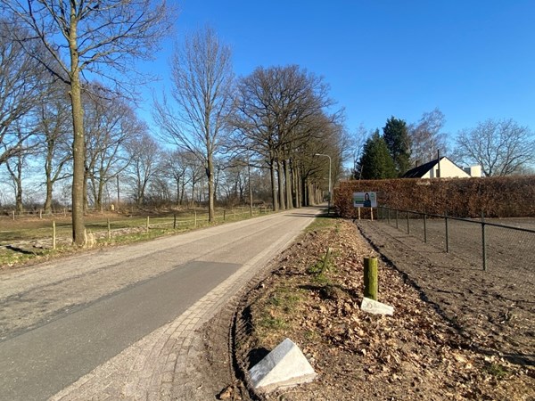 IMG_6572 (Medium).JPG 3