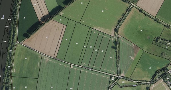 Swalmen dichtbij.jpg 2