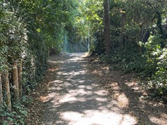 IMG_9086.JPG