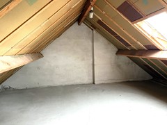 IMG_9555.JPG