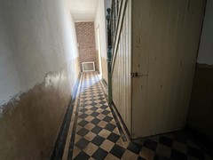 IMG_3221.JPG