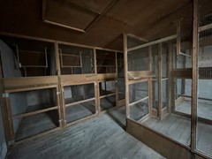 IMG_3227.JPG