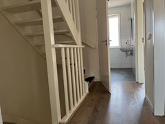 IMG_3584.JPG