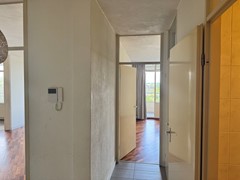 IMG_6998.jpeg