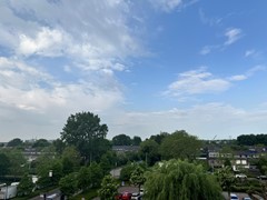 IMG_7002.jpeg