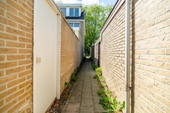 58.jpg