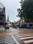 Te huur: Steenlaan 16, 2282BD Rijswijk