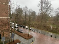 WhatsApp Image 2022-01-31 at 10.44.13.jpeg