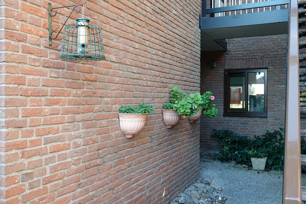 Troelstraplein, Leiden foto 4