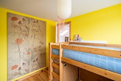 66.jpg