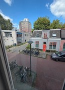 IMG_2585.jpeg