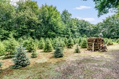 Proland_Dordsedijk 119, Klazienaveen-37.jpg