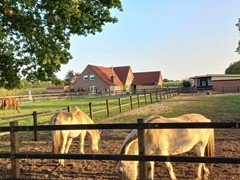 Te koop: Oeveringer Querstraße 19, 49824 Emlichheim