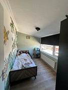 IMG_7383.jpeg