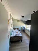 IMG_7384.jpeg
