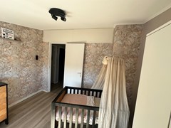 IMG_7386.jpeg