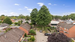 Dissel 15 - Foto's - Dissel 15 - Foto's - DJI_20260706111812_0779_D.jpg