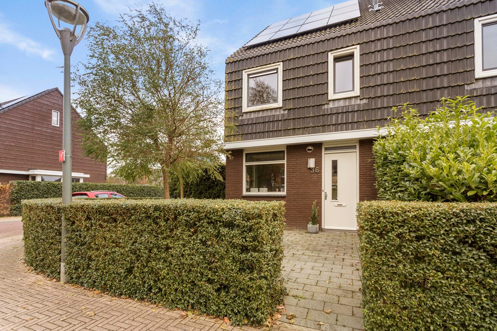 Populier, Leek foto 2