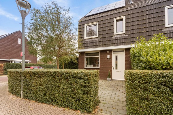 Populier36Leek-03.JPG 2