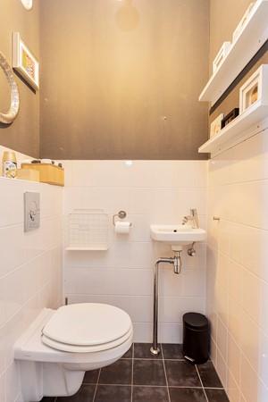 Populier36Leek-05.JPG 9