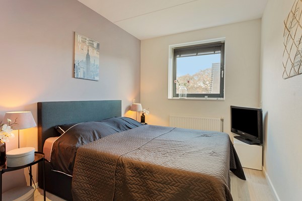 Populier36Leek-13.JPG 11