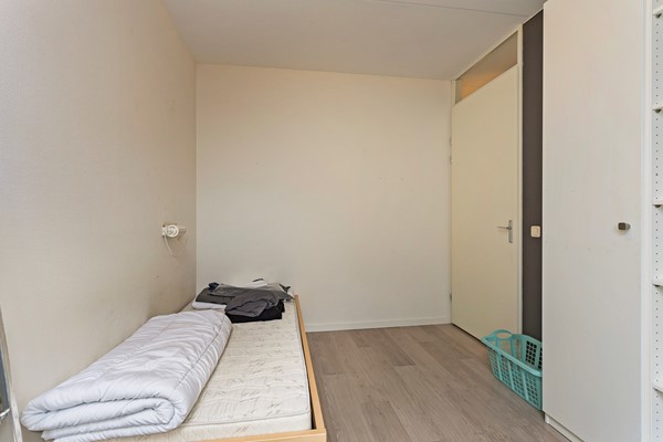 Populier36Leek-18.JPG 16