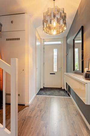 Populier36Leek-04.JPG 23