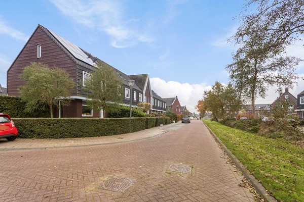 Populier36Leek-01.JPG 24