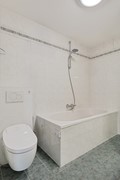 Vliegent Hert 136-27.jpg