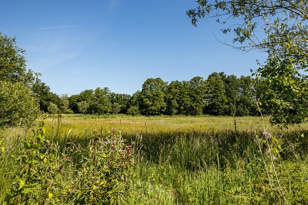 Medium property photo - Hogewaldseweg 1, 6562 KR Groesbeek