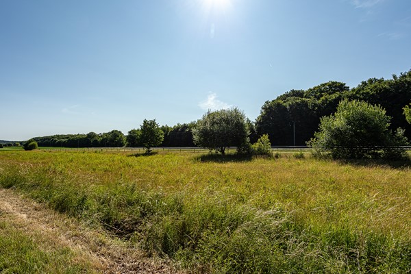 Medium property photo - Hogewaldseweg, 6562 KR Groesbeek