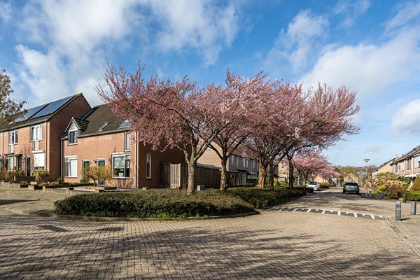 Foto - Te koop: Generaal Gavinstraat 229, 6562 MJ Groesbeek