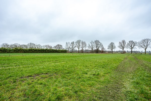 Foto - Te koop: Hoge Horst 47, 6562 LB Groesbeek