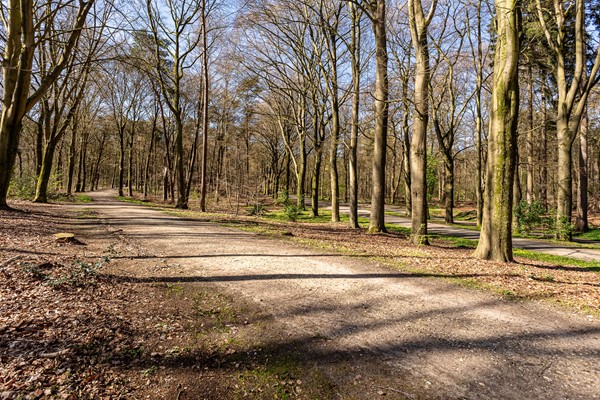 Foto - Te koop: De Ruyterstraat 44, 6562 ZD Groesbeek