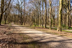 De Ruyterstraat 44, 6562 ZD Groesbeek - 56.jpg