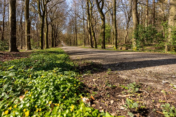 Foto - Te koop: De Ruyterstraat 44, 6562 ZD Groesbeek