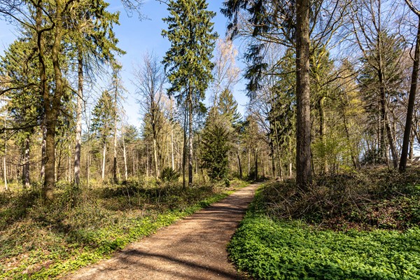 Foto - Te koop: De Ruyterstraat 44, 6562 ZD Groesbeek