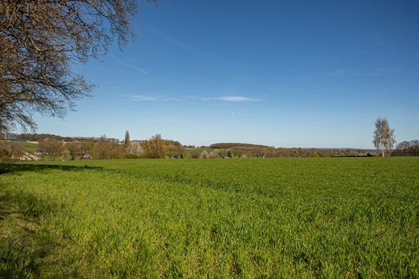 Foto - Te koop: Nieuweweg 11, 6561 AA Groesbeek