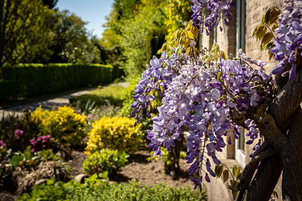 Foto - Te koop: Klaverberg 2, 6561 DE Groesbeek