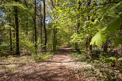 Klaverberg 2, 6561 DE Groesbeek - 41.jpg