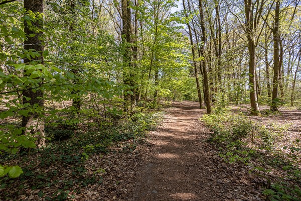 Foto - Te koop: Klaverberg 2, 6561 DE Groesbeek
