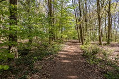 Klaverberg 2, 6561 DE Groesbeek - 42.jpg