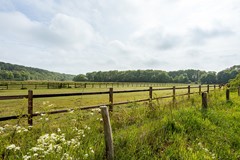Helweg 24, 6596 DB Milsbeek - 42.jpg