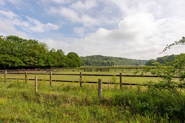 Foto - Te koop: Helweg 24, 6596 DB Milsbeek